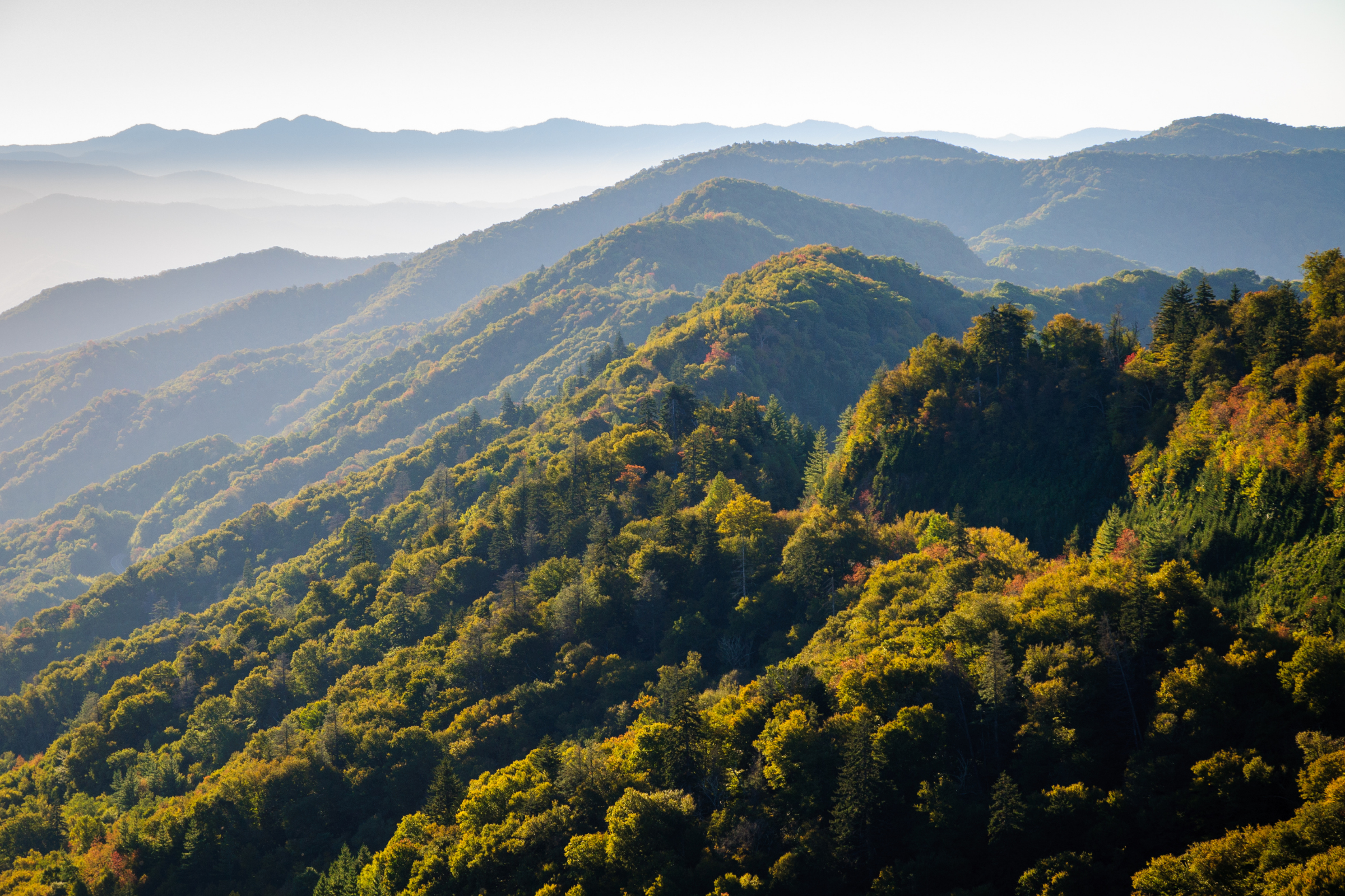 great smoky mountains national park, tennessee.webp